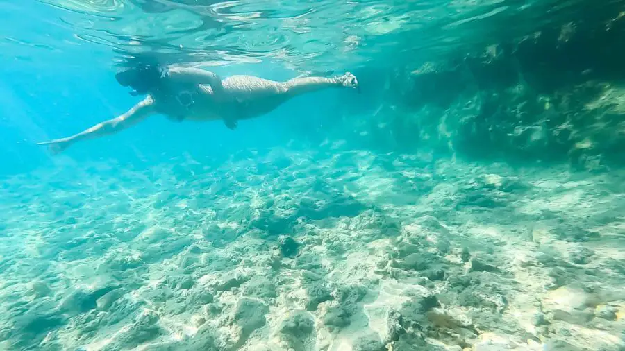 Aimara Snorkeling from the restaurant in Simena (Kalekoy)