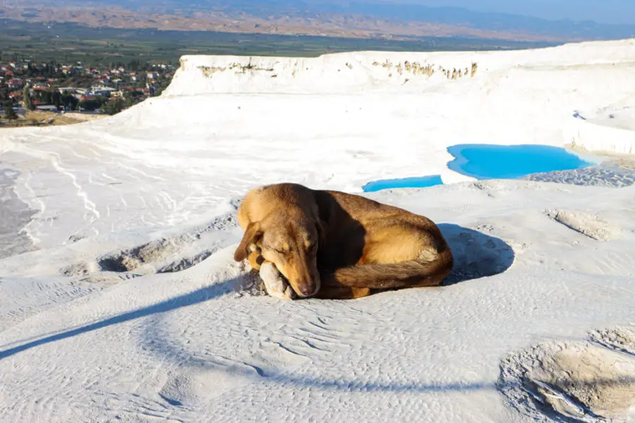 1458 / 5000 Çeviri sonuçları Pamukkale matelas imperméable à l'eau