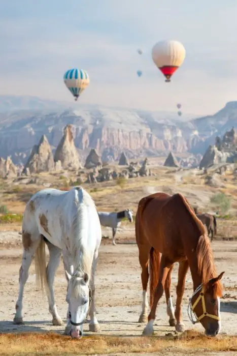 Horseback riding through Red and Rose valley Cappadocia