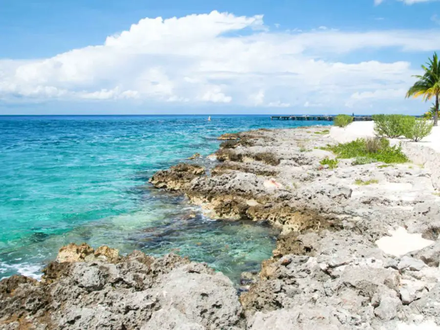 Cruising Beach Cozumel