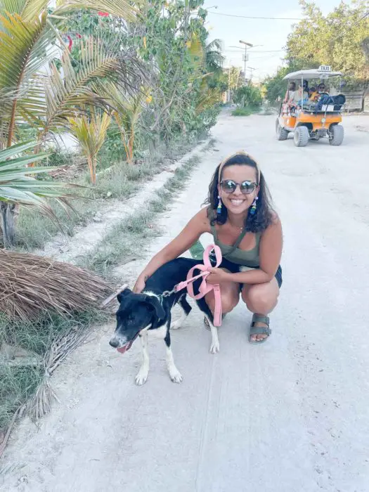 animal shelter in Isla Holbox Mexico