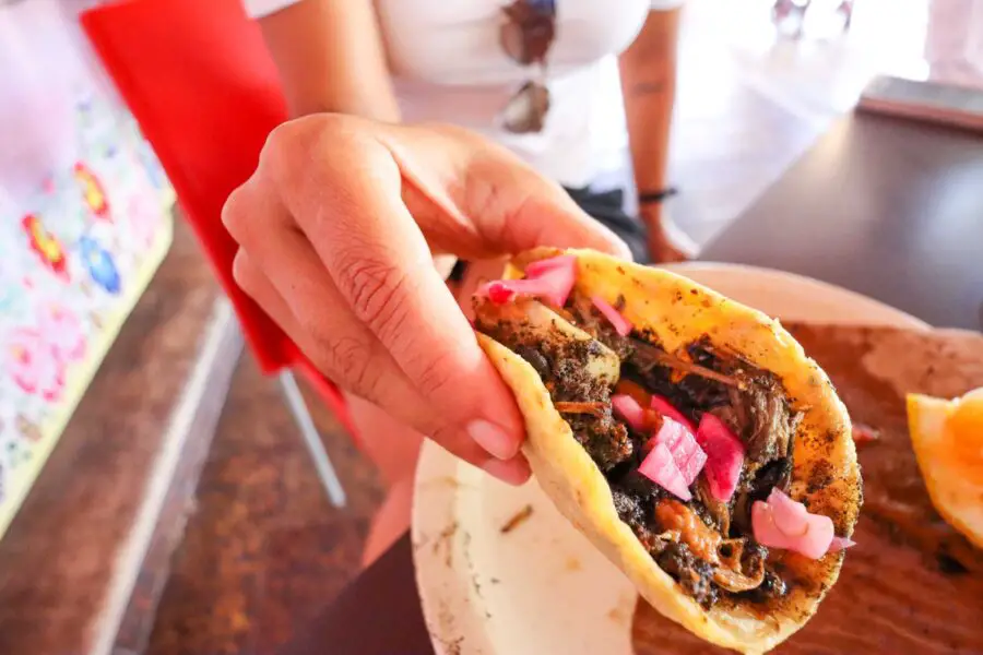 The Yucatan Peninsula's Relleno Negro