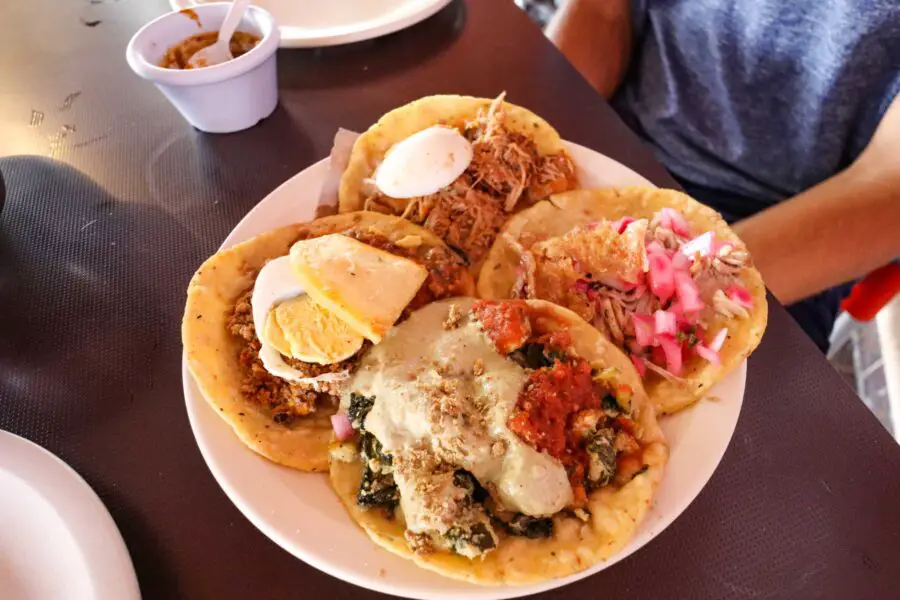 the best tacos in the Yucatan Peninsula