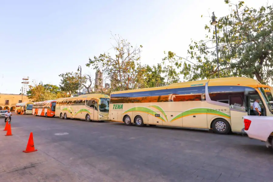 Valladolid Mexico Tour Buses Around Main Square